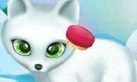 Paws to Beauty Arctic Edition Online Game