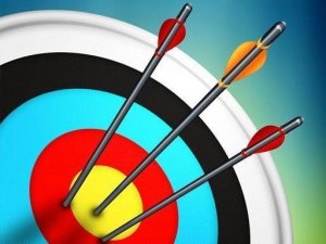 Master Archery Shooting Online Game