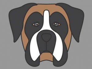 Doggy Face Coloring Online Game