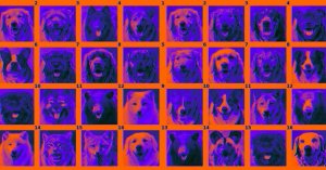 Nvidia's PetSwap AI Morphs Your Selfie into a Furry Animal