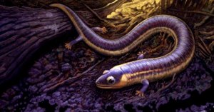 Ancient Amphibian Named After 1970s Funk Hit by Virginia Tech Team