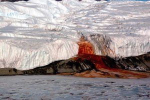 Antarctica's Blood Falls: Scientists Pin Down the Force Behind the Crimson Flow