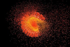 HIV-1's Final Protein Structure Solved, Offering New Drug Targets